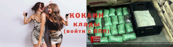 винт Козловка