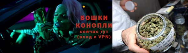 винт Козловка