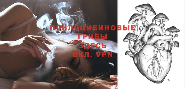 винт Козловка