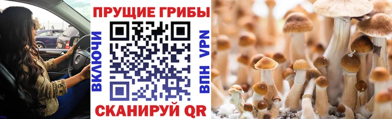 Галлюциногенные грибы мухоморы  Называевск 